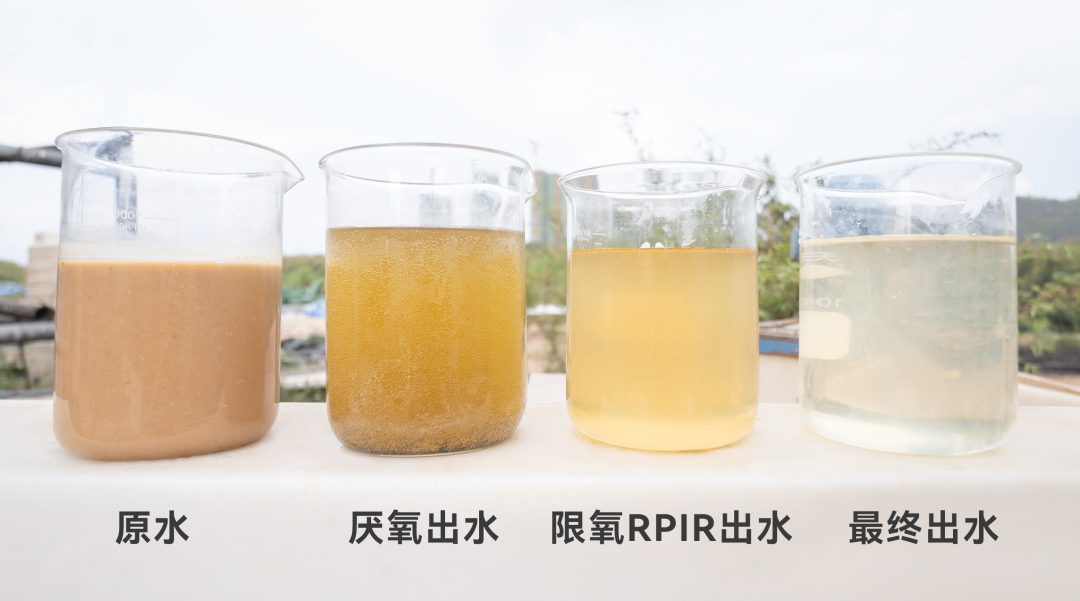 和记娱乐怡情博娱(中国)官网